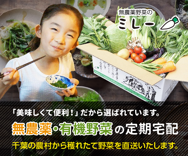 201903041348123520 (1)