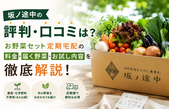 坂ノ途中の評判・口コミは？お野菜セット定期宅配の料金・届く野菜・お試し内容を徹底解説！
