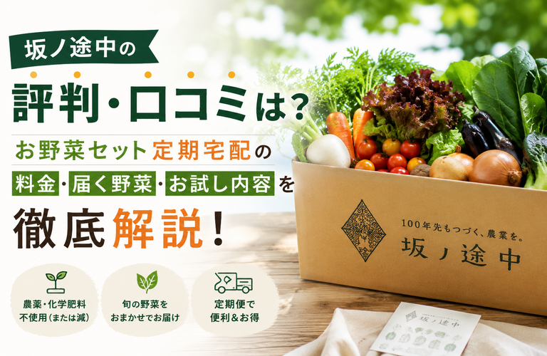 坂ノ途中の評判・口コミは？お野菜セット定期宅配の料金・届く野菜・お試し内容を徹底解説！