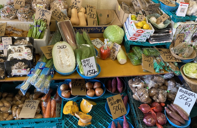 [野菜宅配]東大阪市に送料無料で野菜お届け便！カット済み食材 宅配サービス！[無農薬 有機野菜]