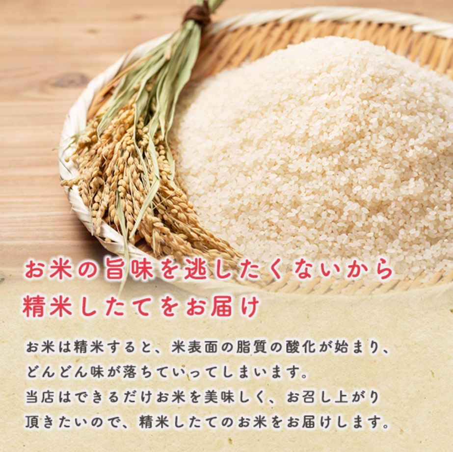 弁当②